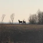 Mazury Garbate - Dom I Przy Cisowym Jarze