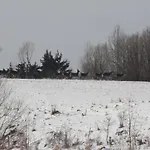 Feriehus Mazury Garbate - Dom I Przy Cisowym Jarze Kowale Oleckie