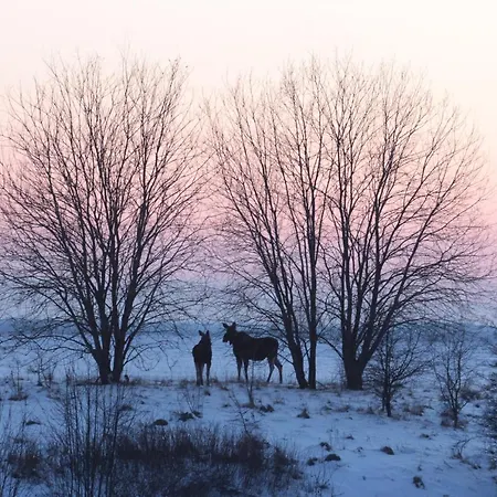 Mazury Garbate - Dom I Przy Cisowym Jarze Kowale Oleckie