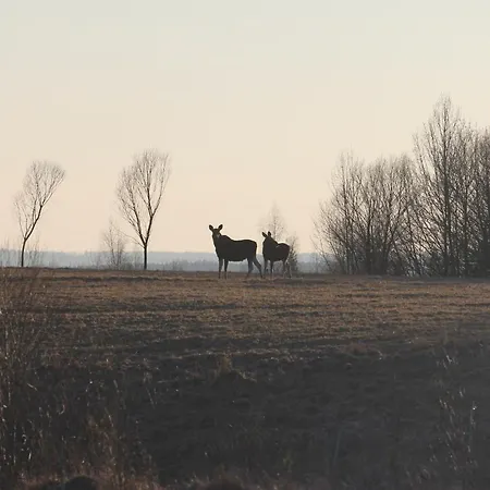 Mazury Garbate - Dom I Przy Cisowym Jarze